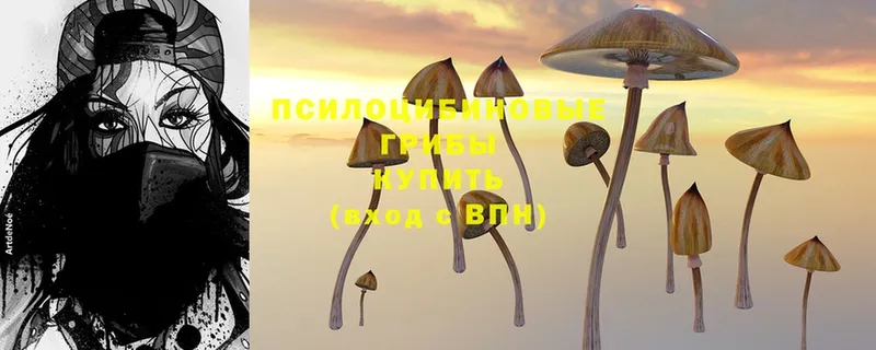 Псилоцибиновые грибы Magic Shrooms  сайты даркнета официальный сайт  Тобольск 